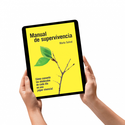 manual pdf